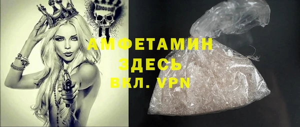 молекула духа Медвежьегорск
