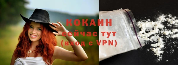 молекула духа Медвежьегорск
