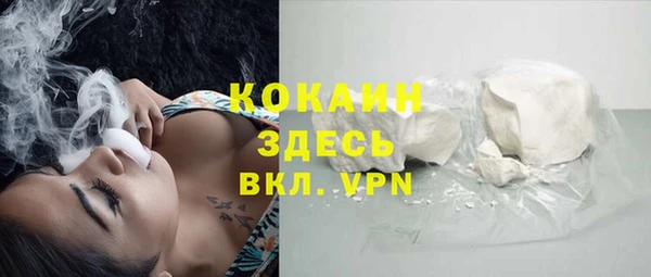 молекула духа Медвежьегорск