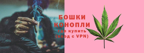 ПСИЛОЦИБИНОВЫЕ ГРИБЫ Медногорск