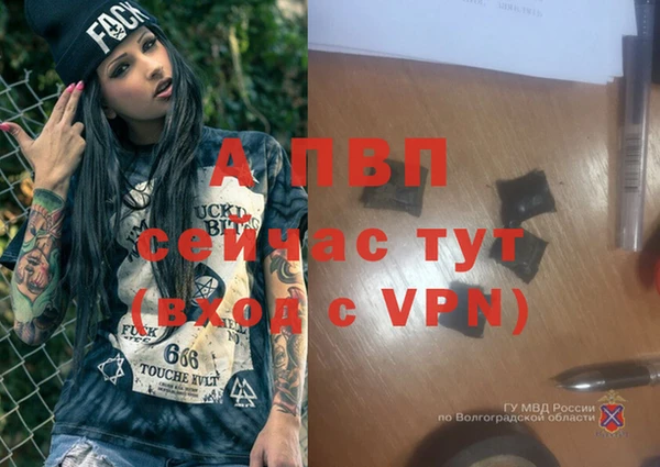 молекула духа Медвежьегорск