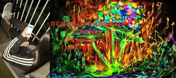 молекула духа Мегион