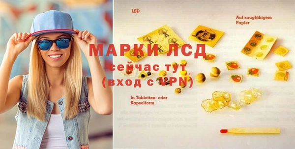 молекула духа Медвежьегорск