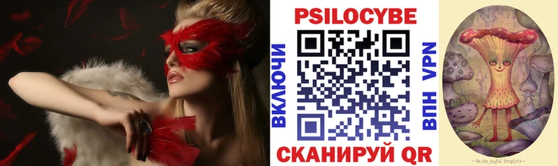 MEGA   сайты даркнета как зайти  Псилоцибиновые грибы Magic Shrooms  Ржев 