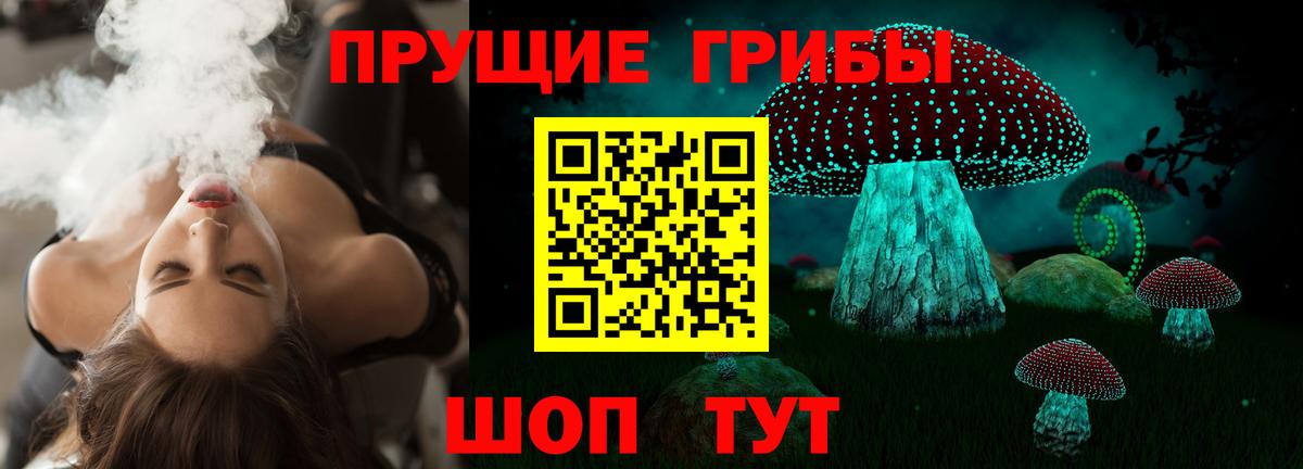 Ржев  Псилоцибиновые грибы мухоморы  Вход с VPN 